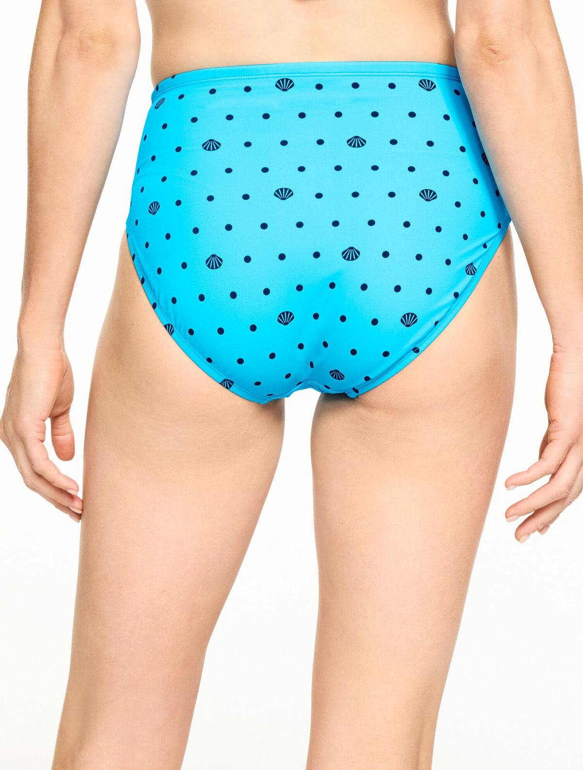 MIRACLESUIT® DIAMOND BASIC BRIEF - SEASHELL DOT