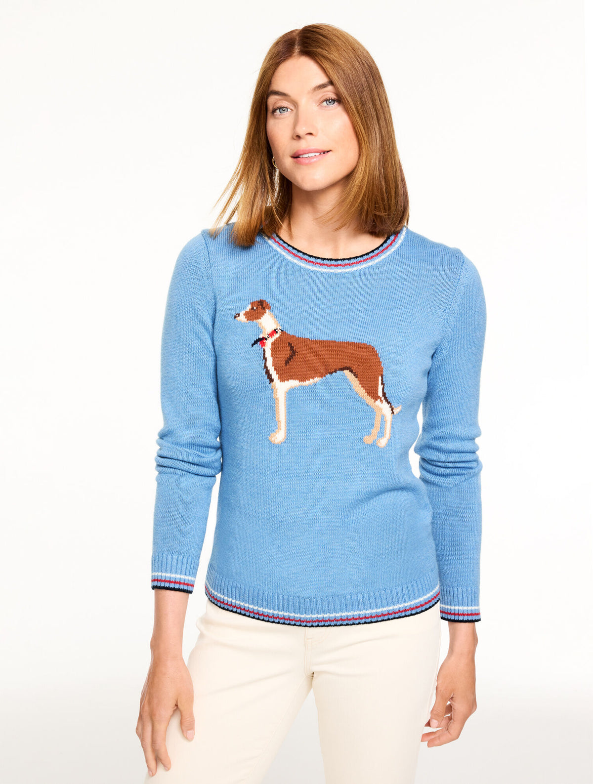 CREWNECK SWEATER - WHIMSY DOG