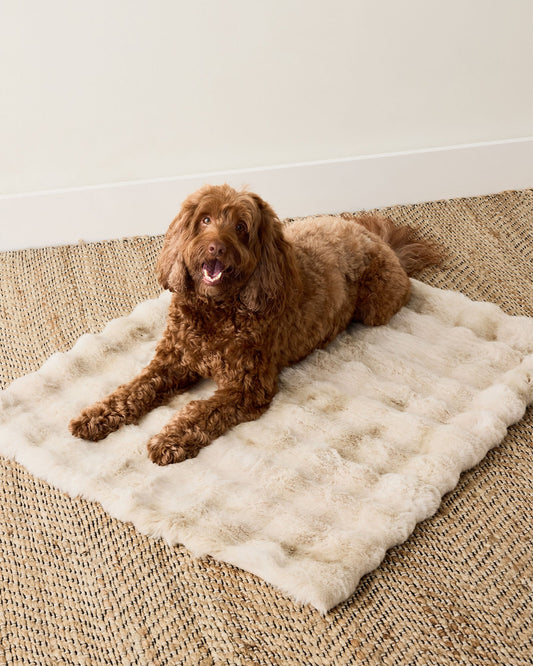 FAUX FUR PET THROW BLANKET