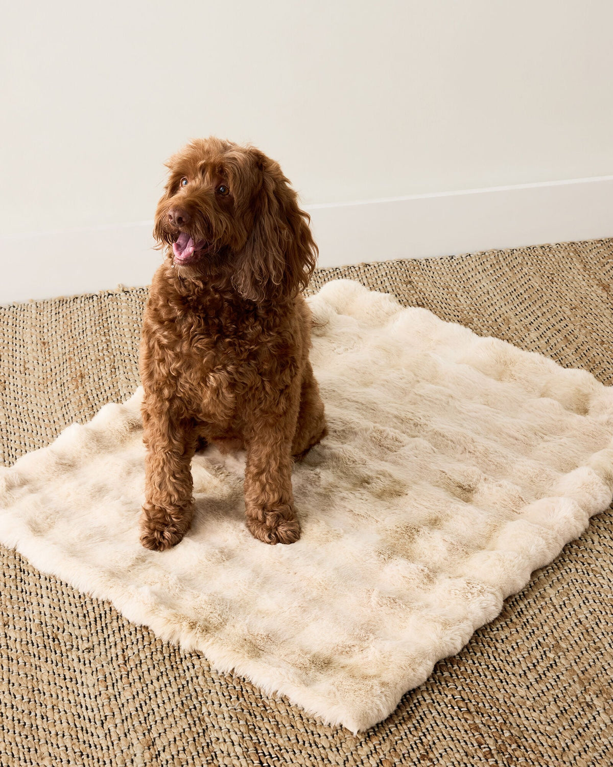 FAUX FUR PET THROW BLANKET