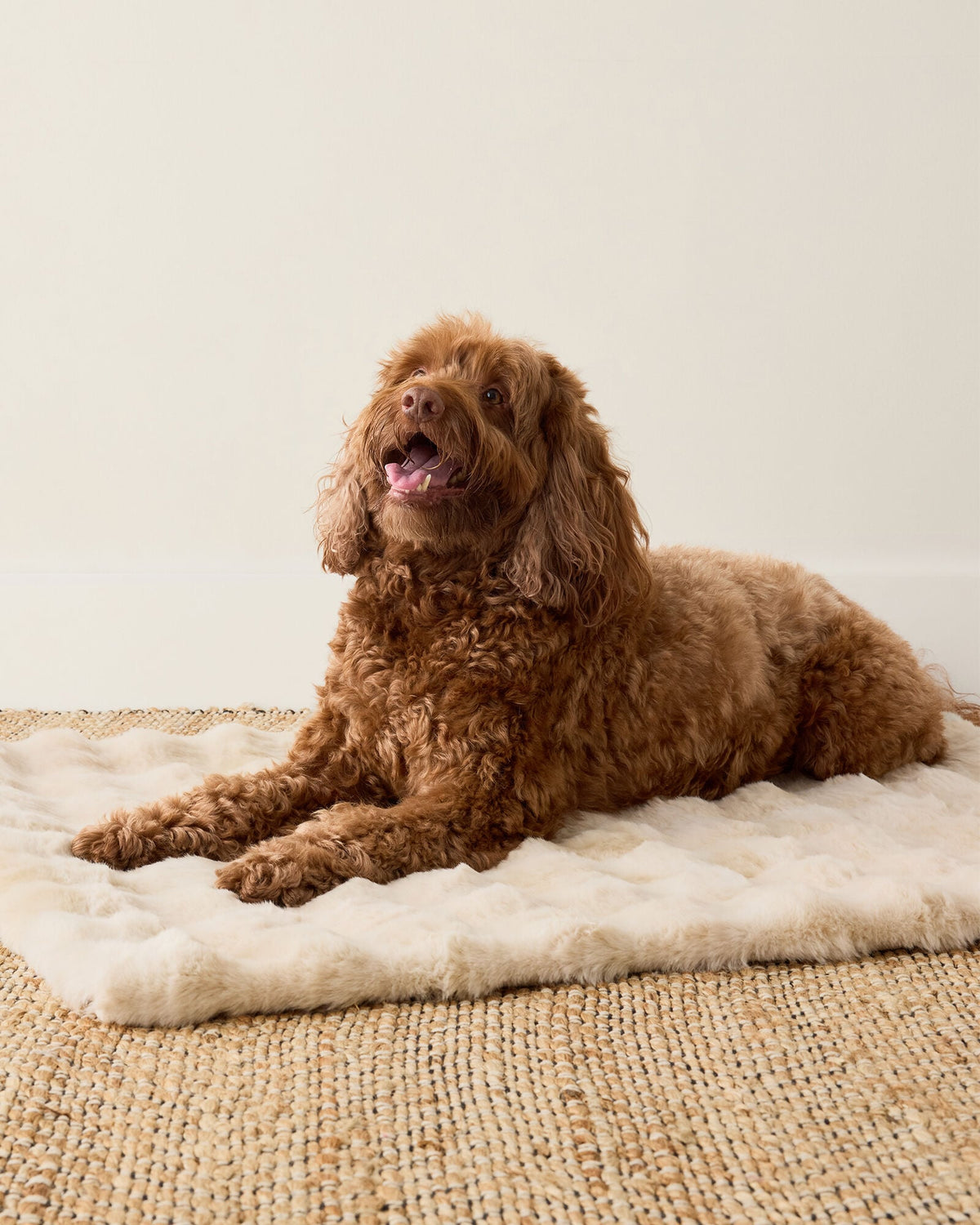 FAUX FUR PET THROW BLANKET